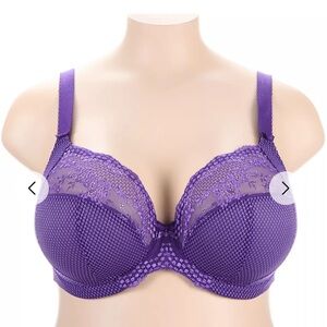 Elomi Vibrant Purple Lace Bra